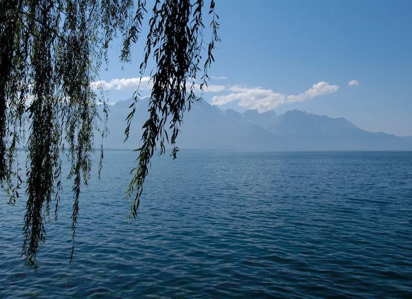 Diğer Fotoğraf