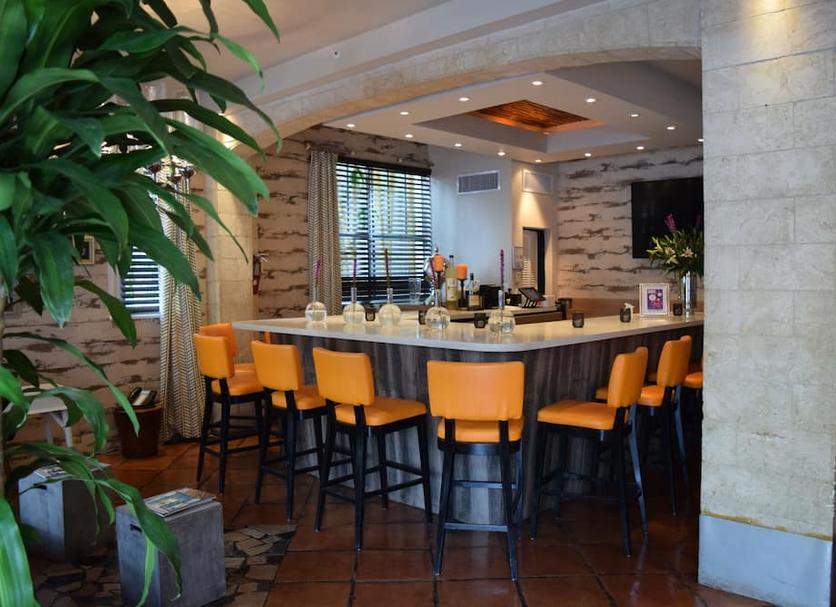 Bar Fotoğraf