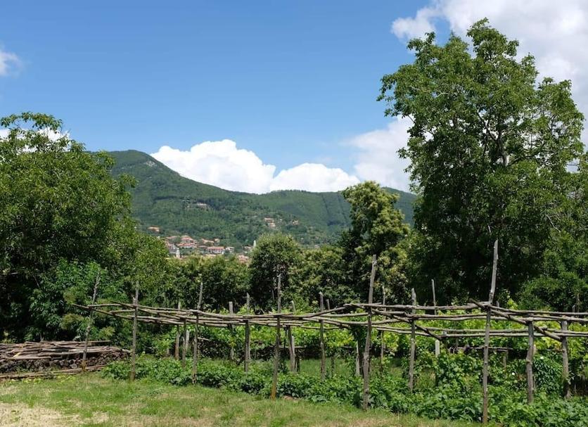 Dış görünüm Fotoğraf