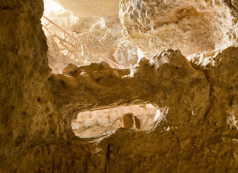 Diğer Fotoğraf