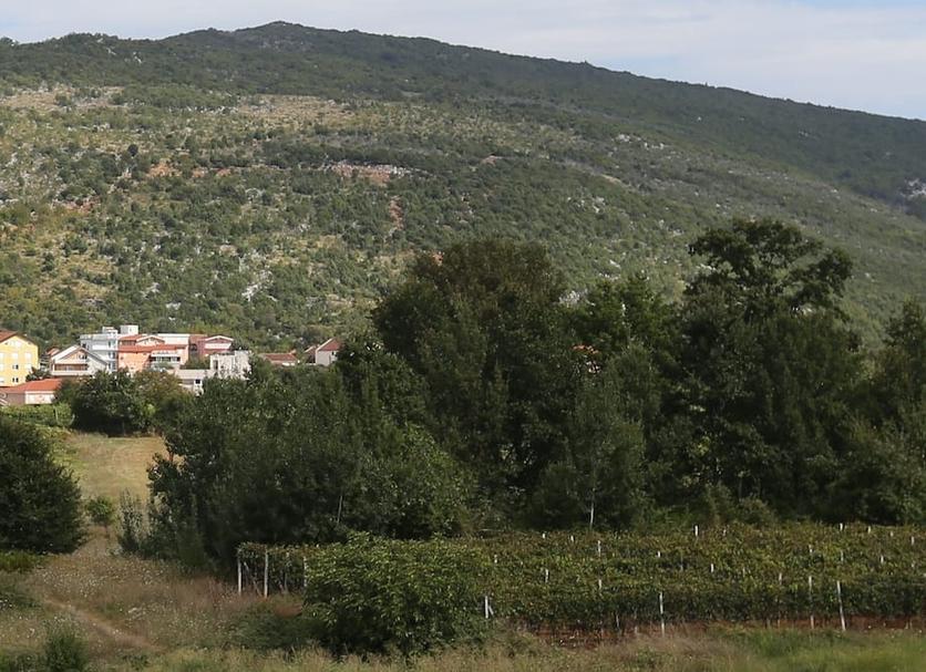 Dış görünüm Fotoğraf