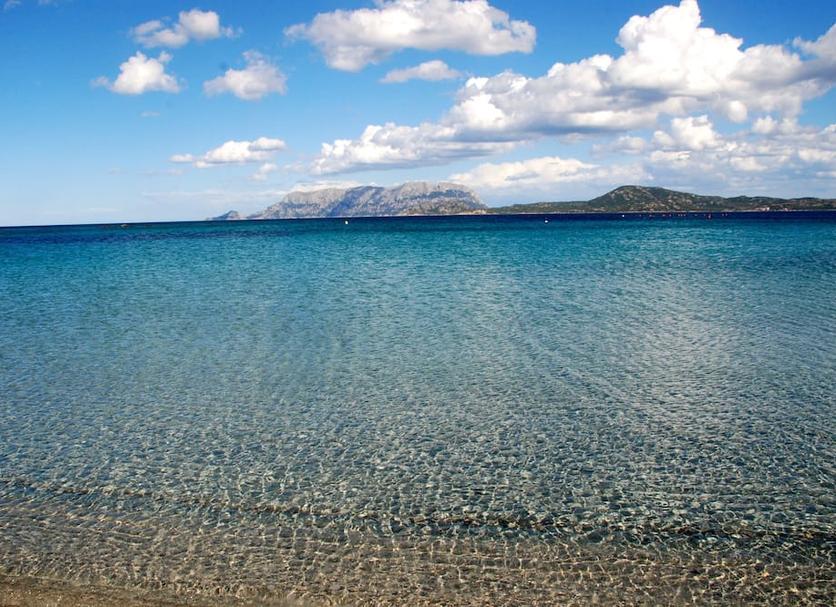 Diğer Fotoğraf