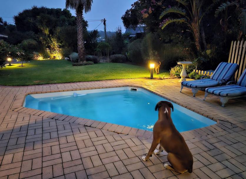 Havuz Fotoğraf