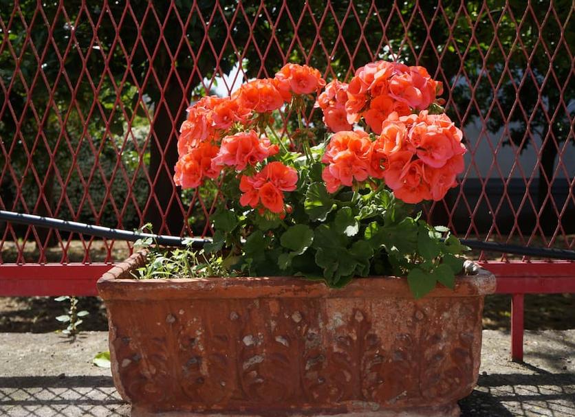 Dış görünüm Fotoğraf