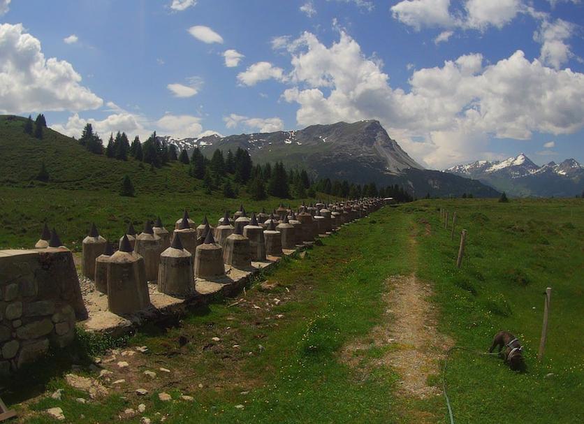 Diğer Fotoğraf