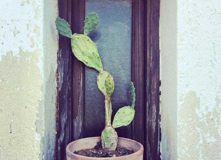 Oda olanağı Fotoğraf