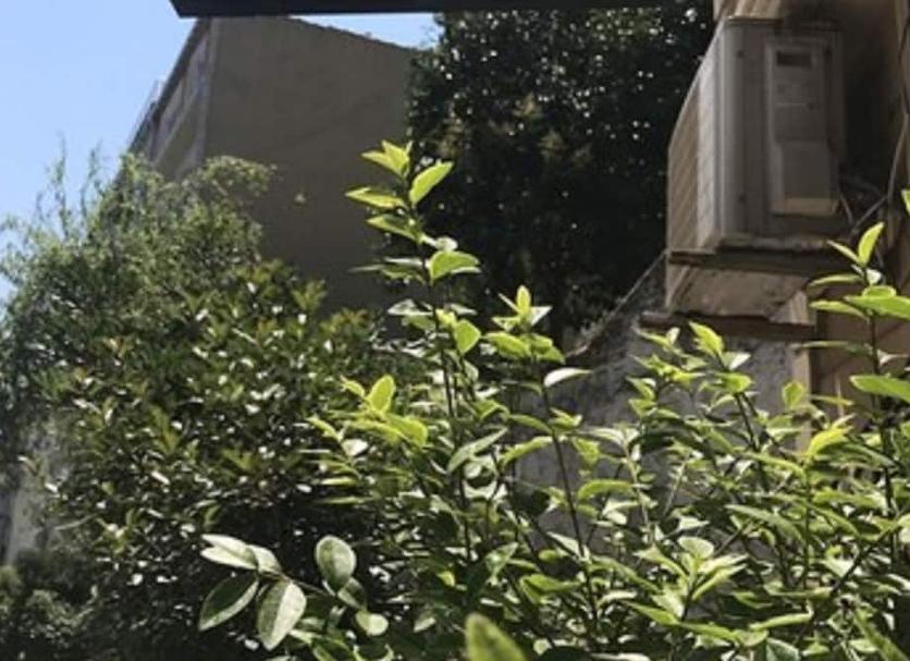 Dış görünüm Fotoğraf