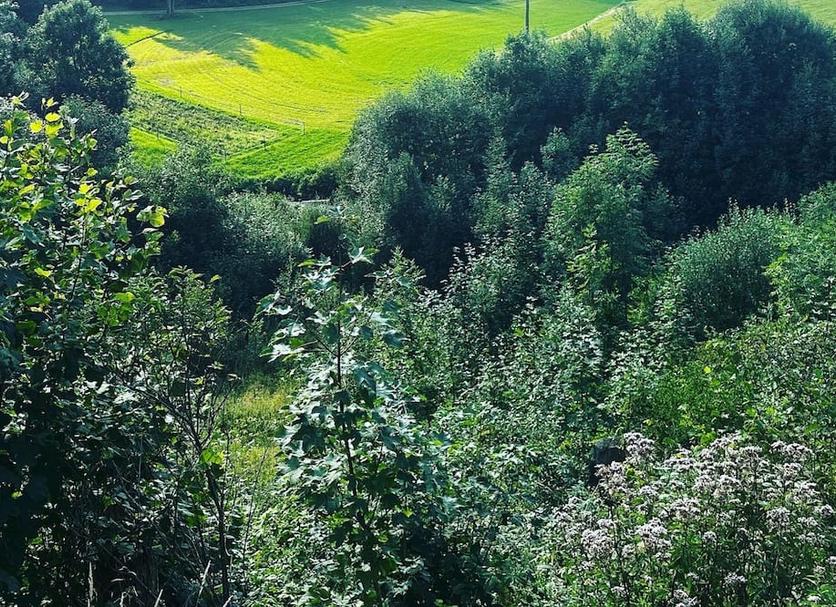 Dış görünüm Fotoğraf