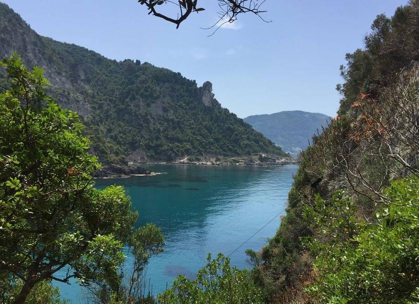 Diğer Fotoğraf