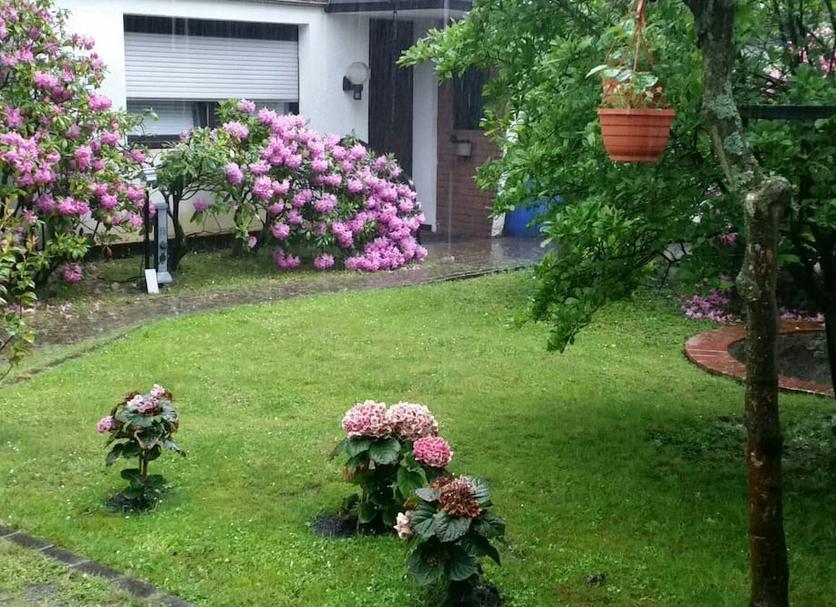 Dış görünüm Fotoğraf