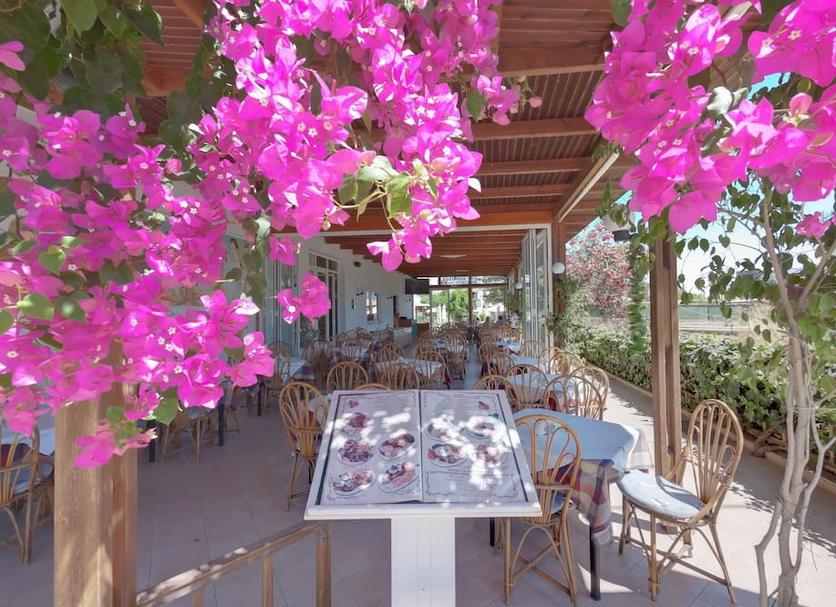 Restoran Fotoğraf