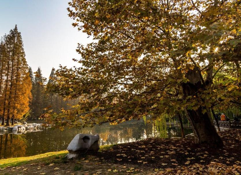 Dış görünüm Fotoğraf