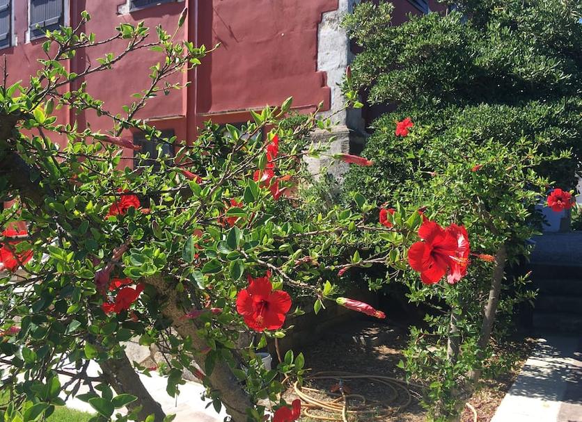 Dış görünüm Fotoğraf