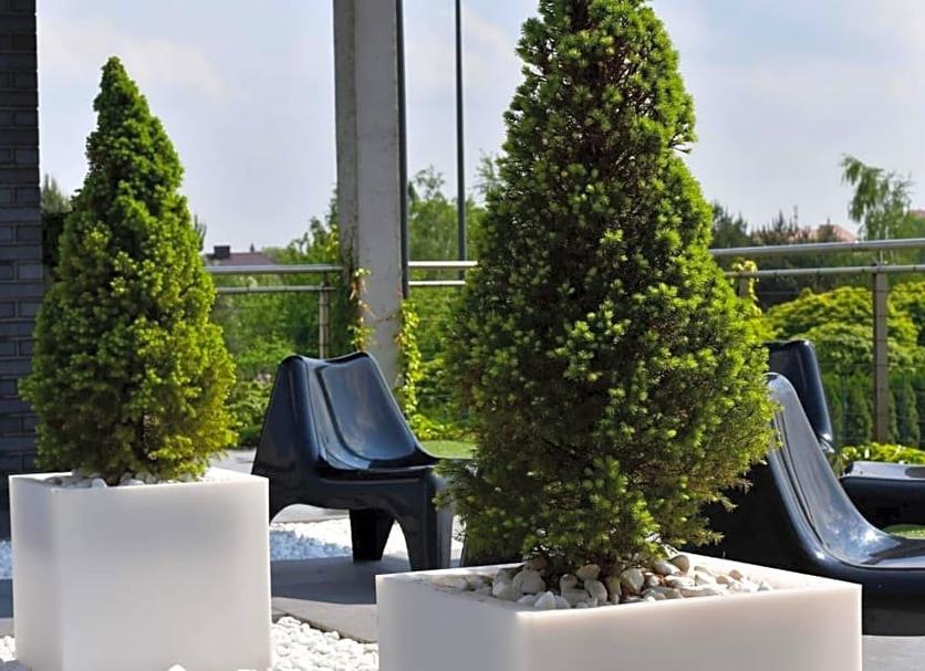 Veranda Fotoğraf