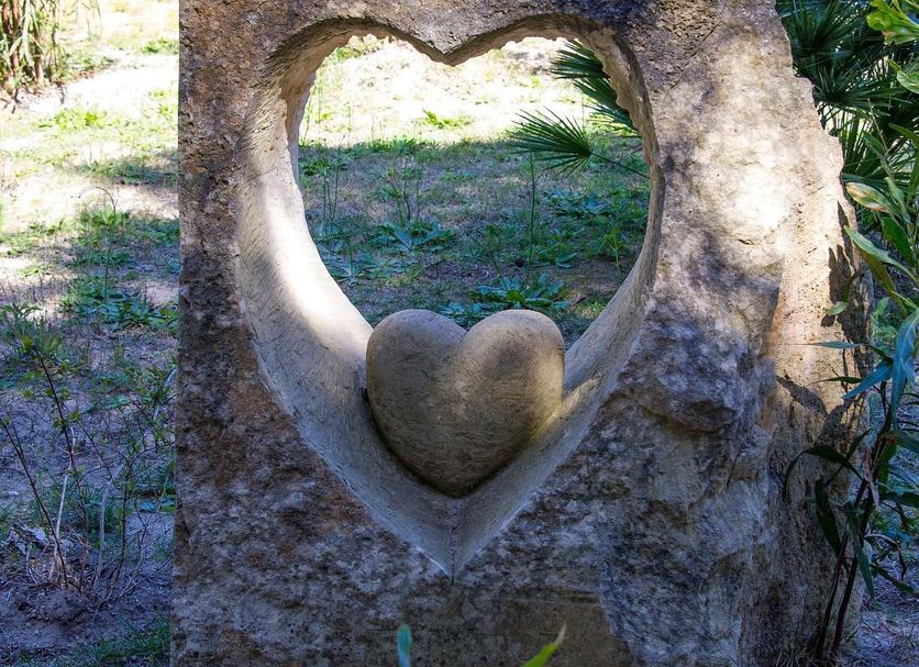Bina Fotoğraf