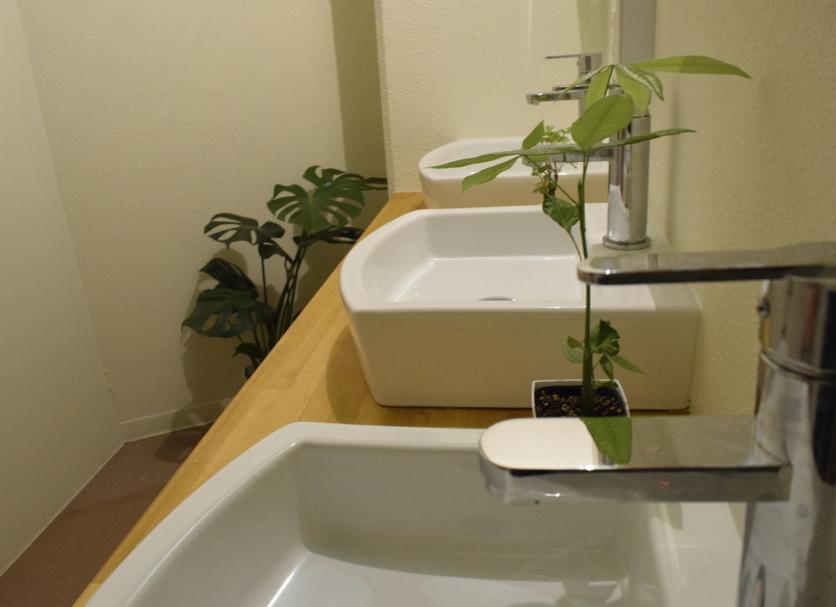 Banyo Fotoğraf