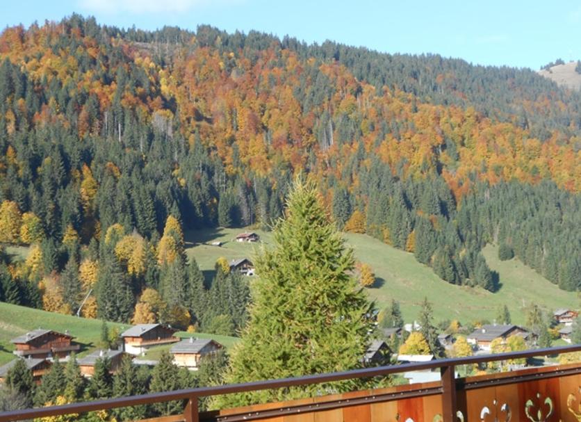 Balkon Fotoğraf